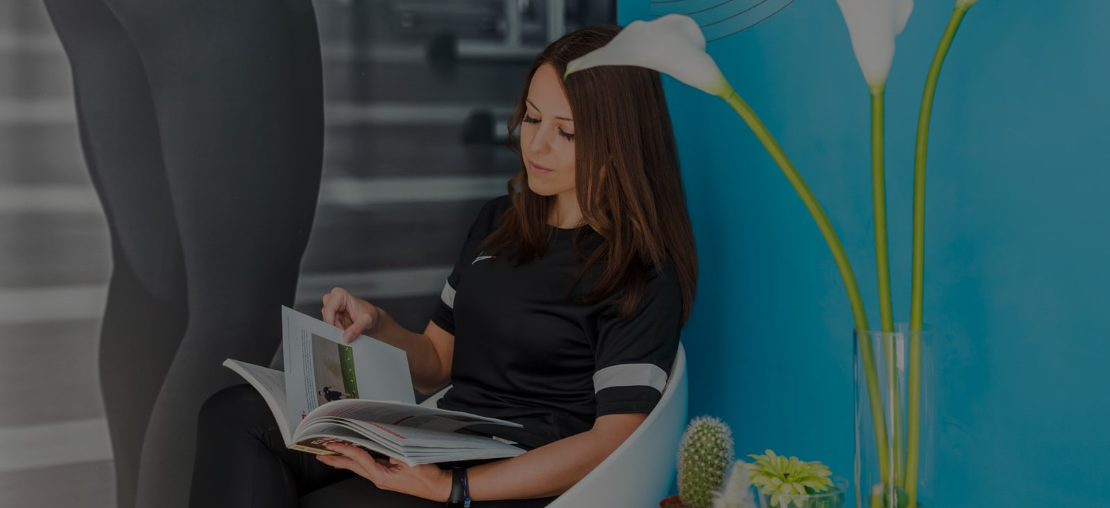 Plan trimestral con 6 seguimientos